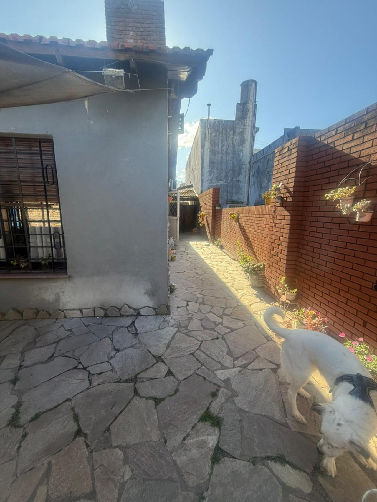 vista desde el fondo